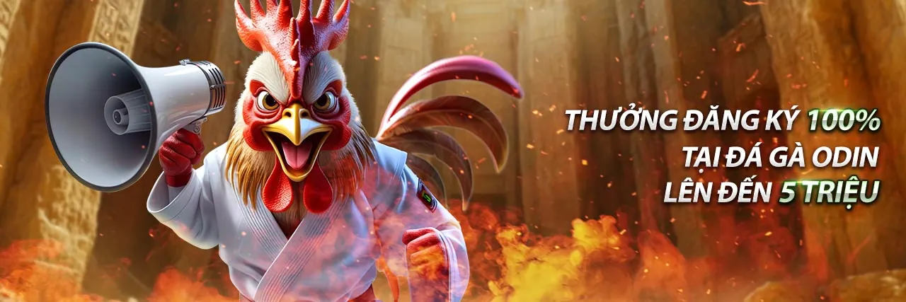 Hỗ trợ marketing Okking CC